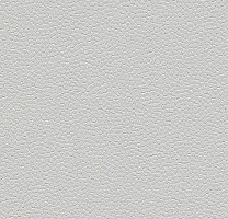 Линолеум Forbo SafeStep Aqua 180262 trout фото 1 | FLOORDEALER